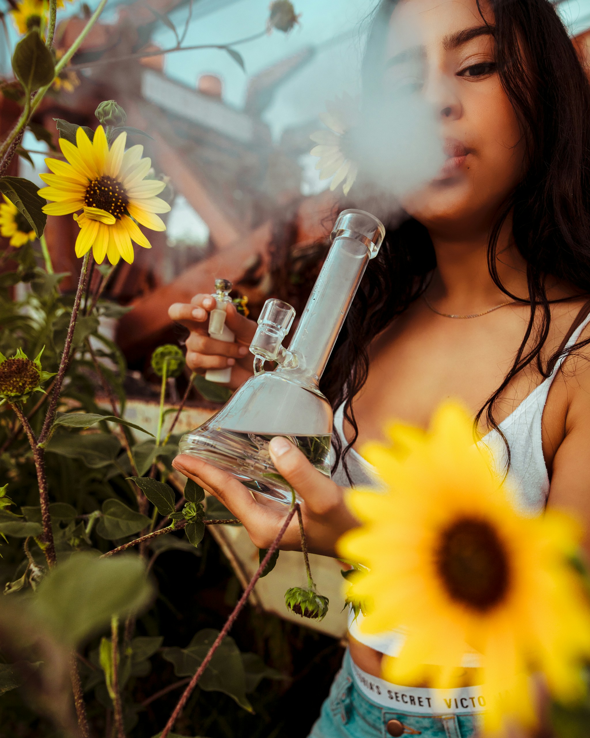Перспективы регулирования cannabis Sri Lanka в 2026 году